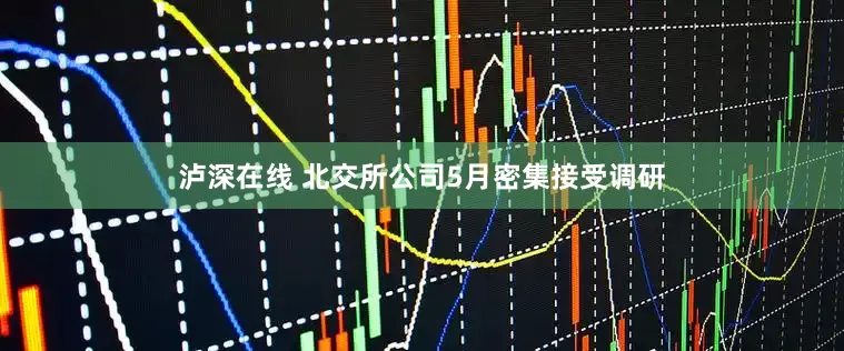 泸深在线 北交所公司5月密集接受调研