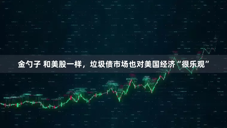 金勺子 和美股一样，垃圾债市场也对美国经济“很乐观”