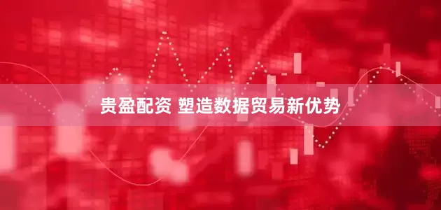 贵盈配资 塑造数据贸易新优势
