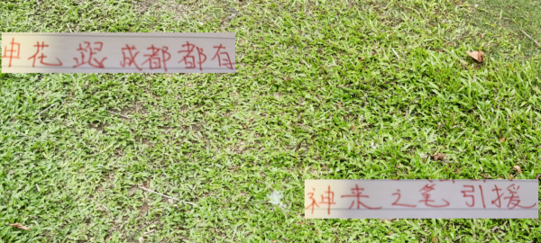 51我也要配资 神来之笔的引援！申花免签李可 成都蓉城租借德尔加多